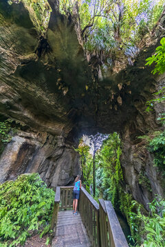New Zealand, Oceania, North Island, Waitomo, Mangapohue Natural Bridge Walk, Tourist at Mangapohue Natural Bridge