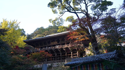 Fototapeta premium 書写山 圓教寺の風景 秋