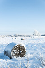 bail of hey field stack, hay bale agriculture nature rural winter scene frozen snow covered sun...