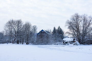Village houses among snow and bare trees under white cloudy sky