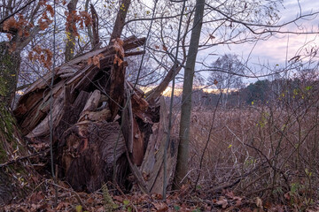 Herbst im Biosphärenreservat Oberlausitzer Heide- und Teichlandschaft