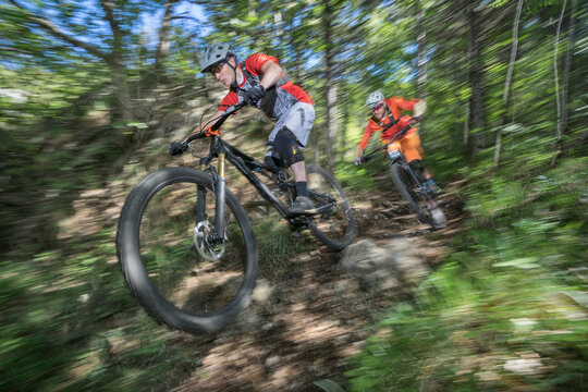 Male cyclists on mountain bikes moving down in forest
