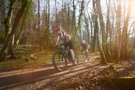 Female cyclists riding cycles on dirt road in forest