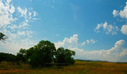 Views at Custer State Park, South Dakota