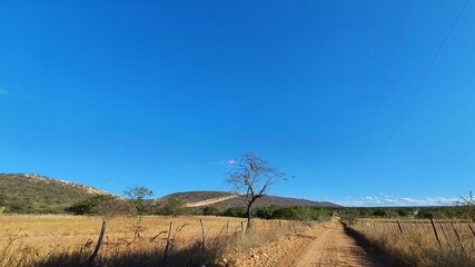 landscape with sky