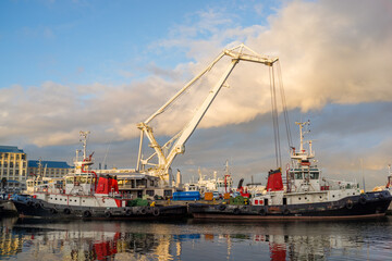 cranes in harbor