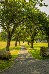 Obraz premium A tree lined path leading through Lochside Park at Carlingwark Loch, Scotland