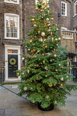Fototapeta na wymiar Christmas tree in London yard.