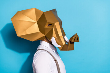 Photo of excited serious man wear gold elephant mask looking empty space isolated blue color...