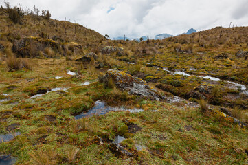 Fototapeta na wymiar The amazing reserve of Cajas in Ecuador 