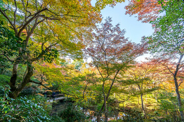 圓光寺