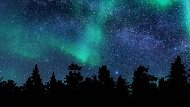 Aurora northern lights trees Vacation travel winter forest landscape starry sky 4k