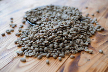 Raw coffee beans / green beans. Indonesian arabica coffee "aceh gayo takengon" grade 1 