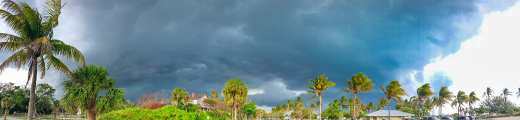 Panoramic view of Jupiter park and palms along the beach, Florid - Panoramic view