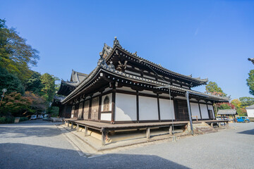 Fototapeta premium 泉湧寺