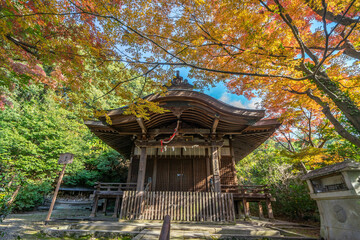 Fototapeta premium 来迎院