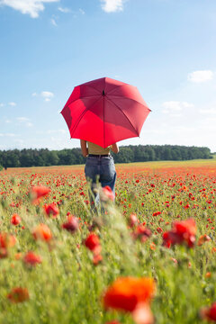 Girl with red umbrella in poppy field