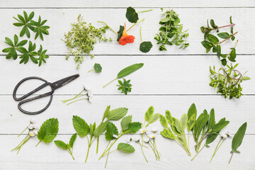 Collection of various herbs and edible flowers flat laid against white wooden surface