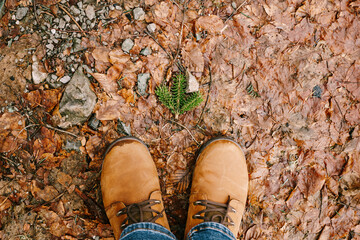 Male feet in brown shoes stand on the ground covered with fallen leaves. Close-up