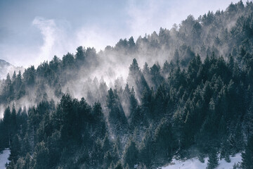 Forests and clouds in winter in Andorra Pyrenees. 
