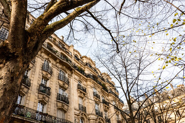 Typicals houses of Paris
