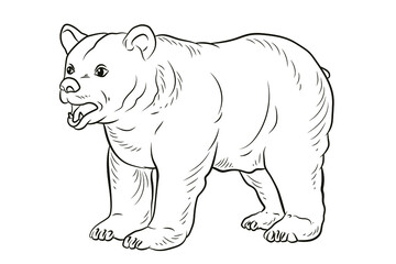 Bear. In the animal world. Black and white image. Coloring book for children. Vector drawing.