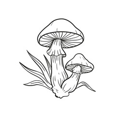 mushroom grass line illustration element