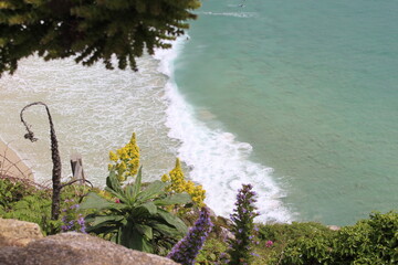 View of sea through flowers