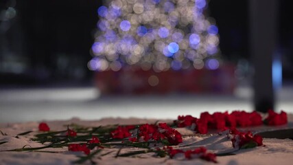 Flowers by the eternal flame in winter against the background of the Christmas tree at night