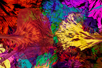 colorful abstract flower petal acacia background