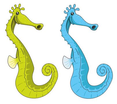 Hippocampe rigolo
