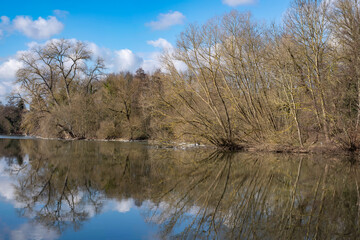 Reflection of trees in the Lahn / Germany on a sunny spring day