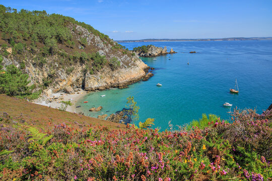 Presqu'&icirc;le de Crozon, sur le GR 34, entre Morgat et le Cap de la Ch&egrave;vre, Finist&egrave;re, Bretagne