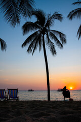 Sunset on the beach and palm trees