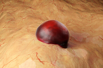 Three dimensional render of red germ entering human skin