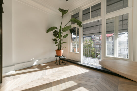 Empty room with parqueted floor and potted plant