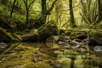 Rocks against brook in green woodland