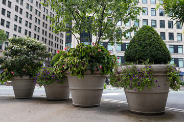 Green Plants Outside of Madison Square Park in the Flatiron District of New York City during the Summer