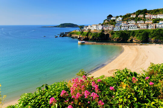 Looe Cornwall beach with pink flowers beautiful English coast scene