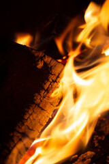 close up of burning fire