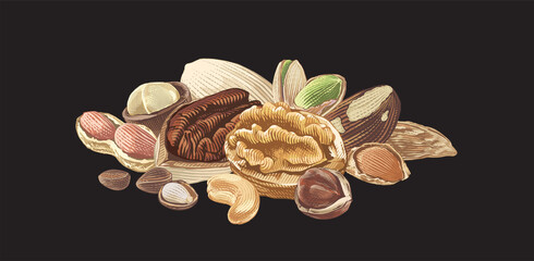 colorful nut heap set collection Hand drawing sketch engraving illustration style