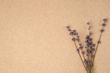 A bunch of dried lavender flowers on beige paper interspersed with colored fibers, close-up. Copy space