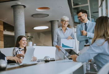 Mature business woman explaining project details on a meeting in office