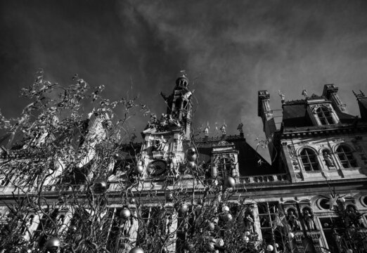 Winter holidays in Paris. Christmas forest decoration near Hotel de Ville (City Hall). France. Black white historic photo