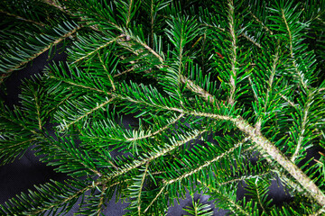 Background of christmas tree wreath