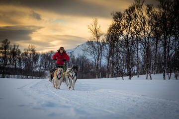 Man driving a dogsled in the snow