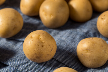 Raw Yellow Organic Baby Potatoes