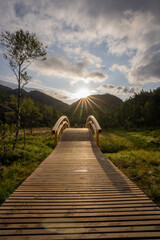 wooden bridge in the forest