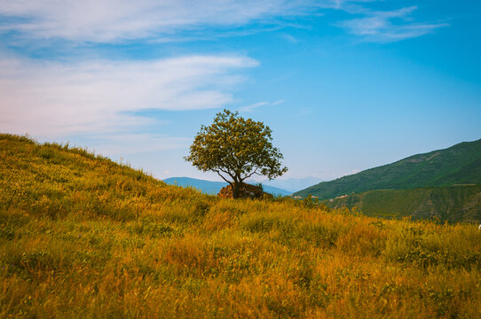 autumn in the mountains