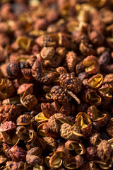 Raw Red Organic Sichuan Peppercorn